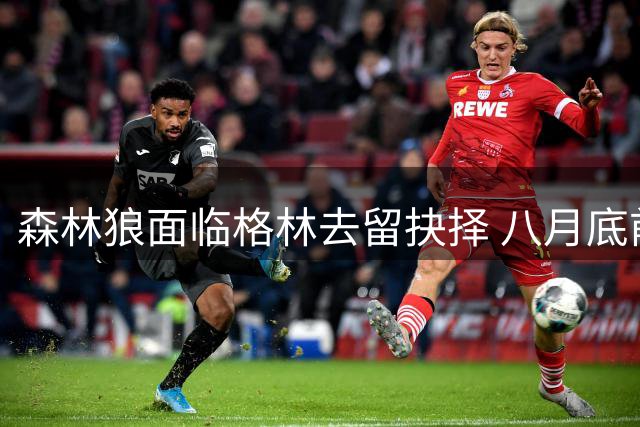 森林狼面临格林去留抉择 八月底前须完成薪资调整