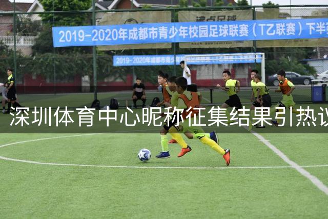 深圳体育中心昵称征集结果引热议 "新深体"获特等奖受质疑