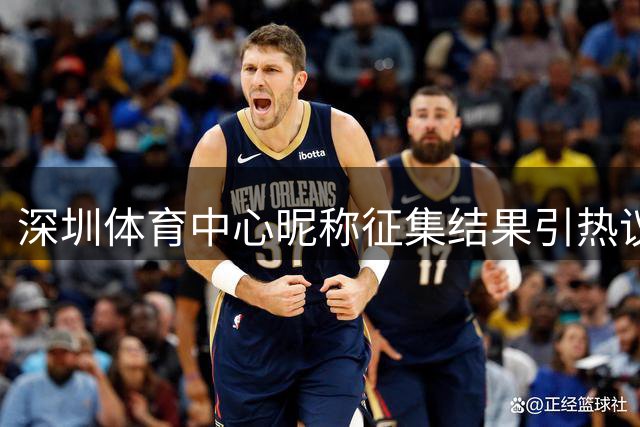 深圳体育中心昵称征集结果引热议 "新深体"获特等奖受质疑