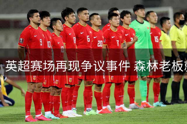 英超赛场再现争议事件 森林老板就侮辱性横幅起诉水晶宫